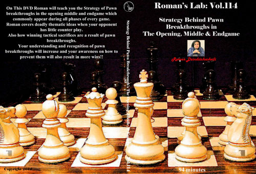 Volume 0114r - Strategy Behind Pawn Breakthroughs in the Opening